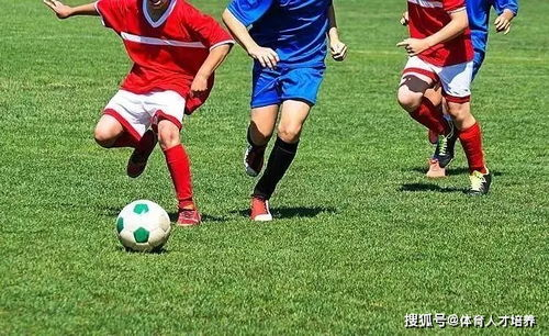 美国组建足球队多少年历史_美国足球注册球员人数_美国足球队现状