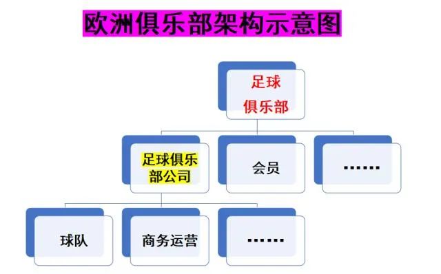 美国足球队现状_美国足球注册球员人数_美国组建足球队多少年历史