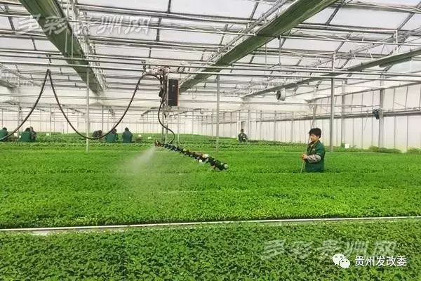 营养餐配送车图片_水城营养餐配送_营养餐配送运营方案