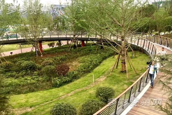营养餐配送运营方案_水城营养餐配送_营养餐配送车图片