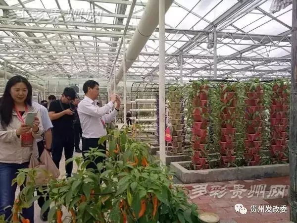 营养餐配送运营方案_水城营养餐配送_营养餐配送车图片