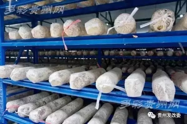 营养餐配送车图片_水城营养餐配送_营养餐配送运营方案