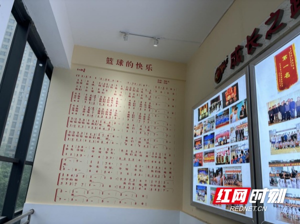 篮球冠军名单_十一高篮球全国冠军_全国篮球比赛冠军