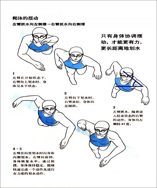 游泳动作的技巧和方法_游泳技巧动作方法有哪些_游泳技巧动作方法视频