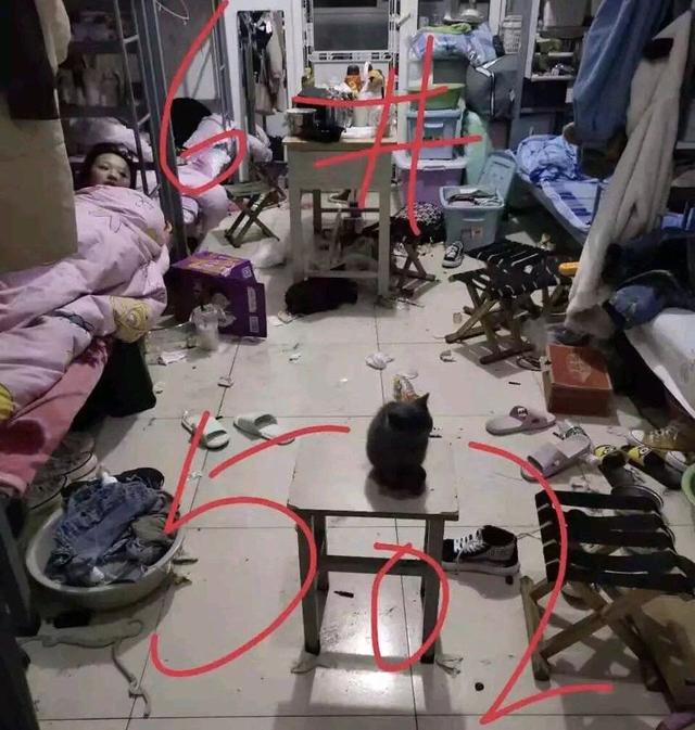 家庭搞笑日常学生_搞笑视频家庭_搞笑日常家庭学生文案