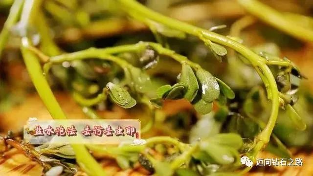 亚健康状态的十大表现女生_女性亚健康表现_亚健康症状女性