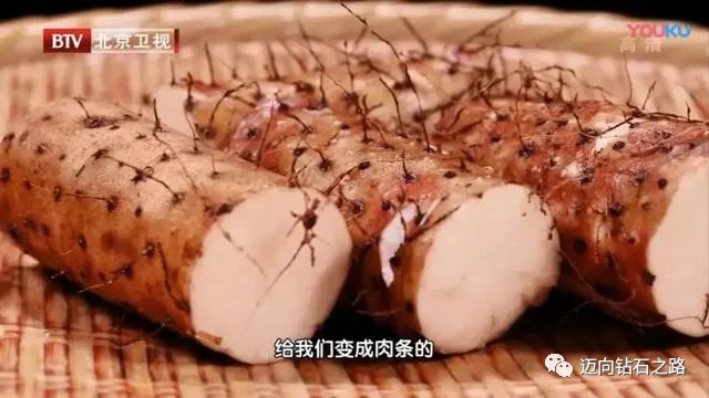 亚健康状态的十大表现女生_亚健康症状女性_女性亚健康表现