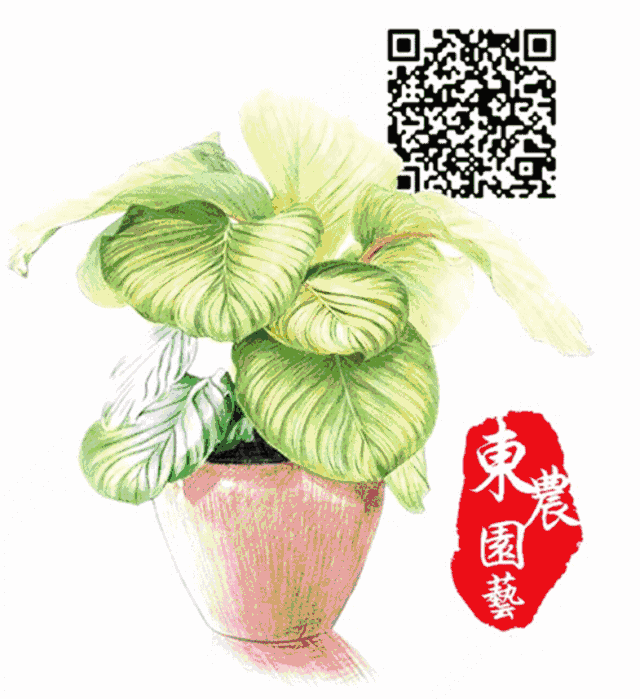 跳高比赛高度相同_跳高一样高谁获胜_铁饼和跳高的规则相同点
